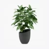 product-image-1_optimized