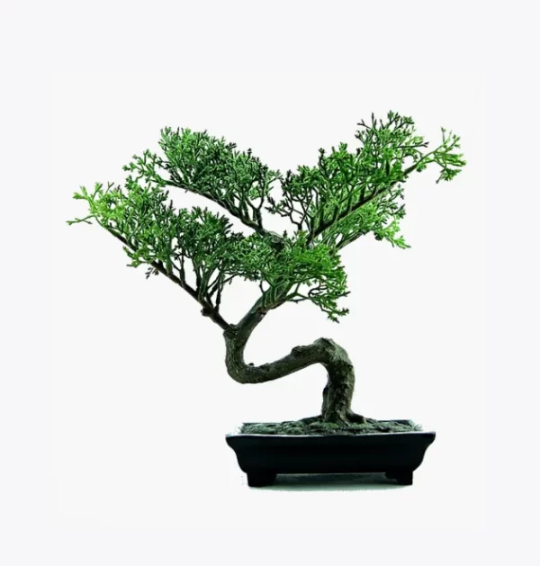 product-image-2_optimized