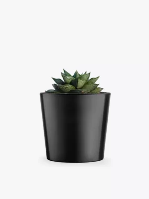 product-image-3_optimized