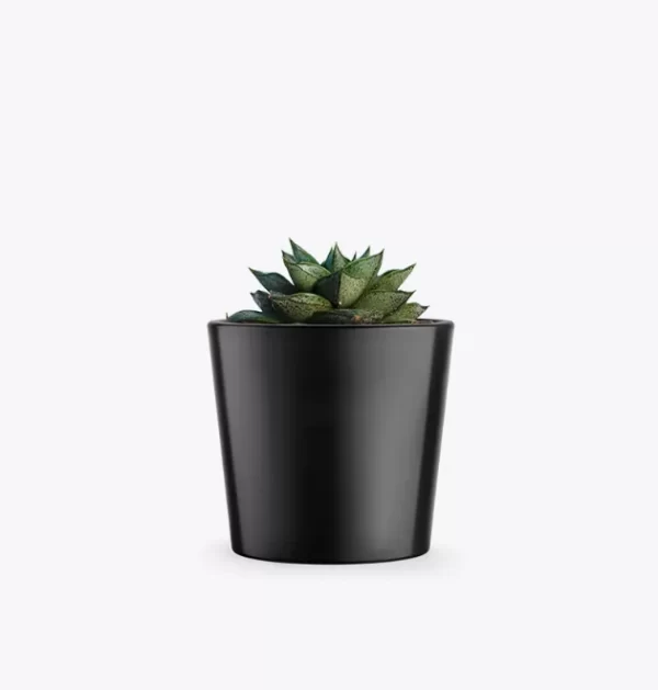 product-image-3_optimized
