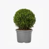 product-image-4_optimized