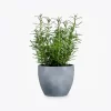 product-image-5_optimized