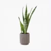 product-image-6_optimized