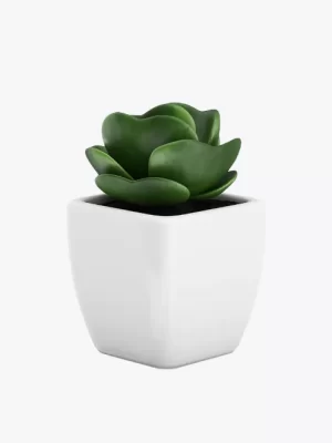 product-image-9_optimized